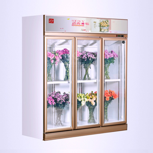 SG18ZA-3门鲜花柜