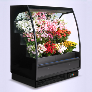 18AH-鲜花柜